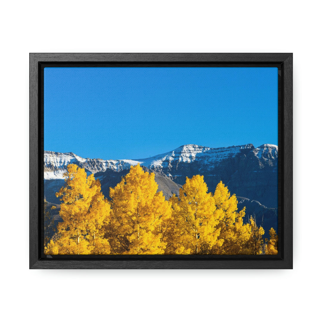 Golden Glow - Canvas with Frame