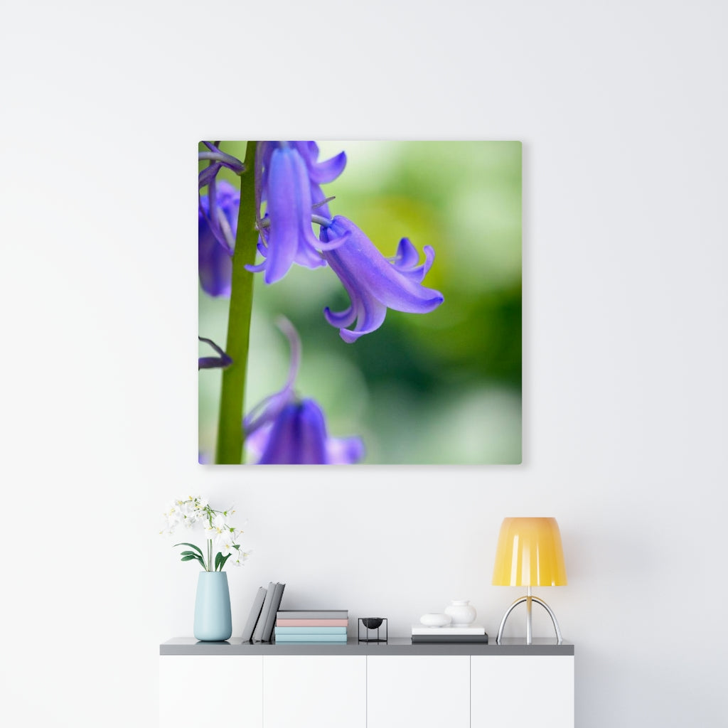 Delicate Bell - Canvas