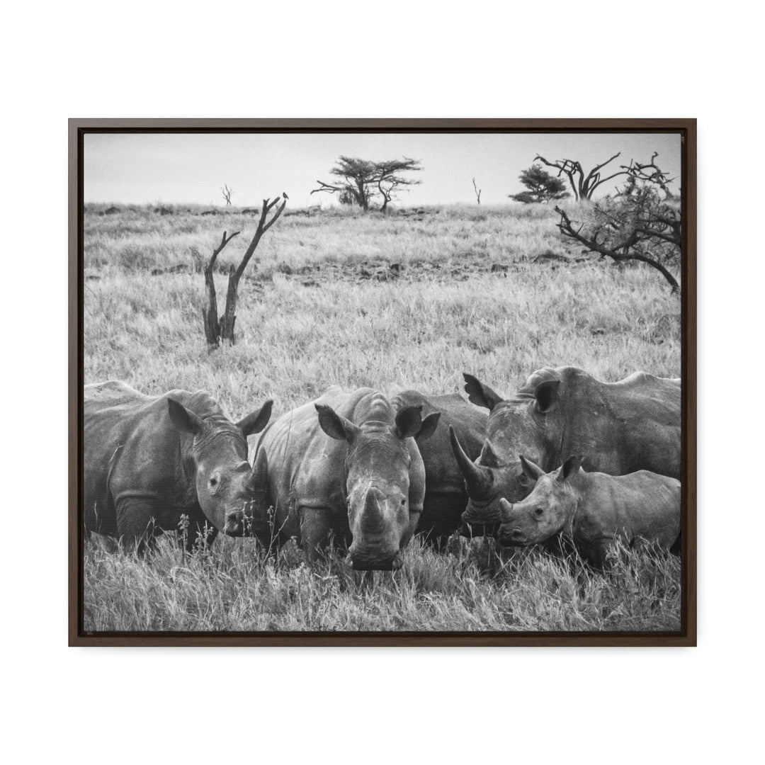 Rhino Family in Black and White - Canvas with Frame