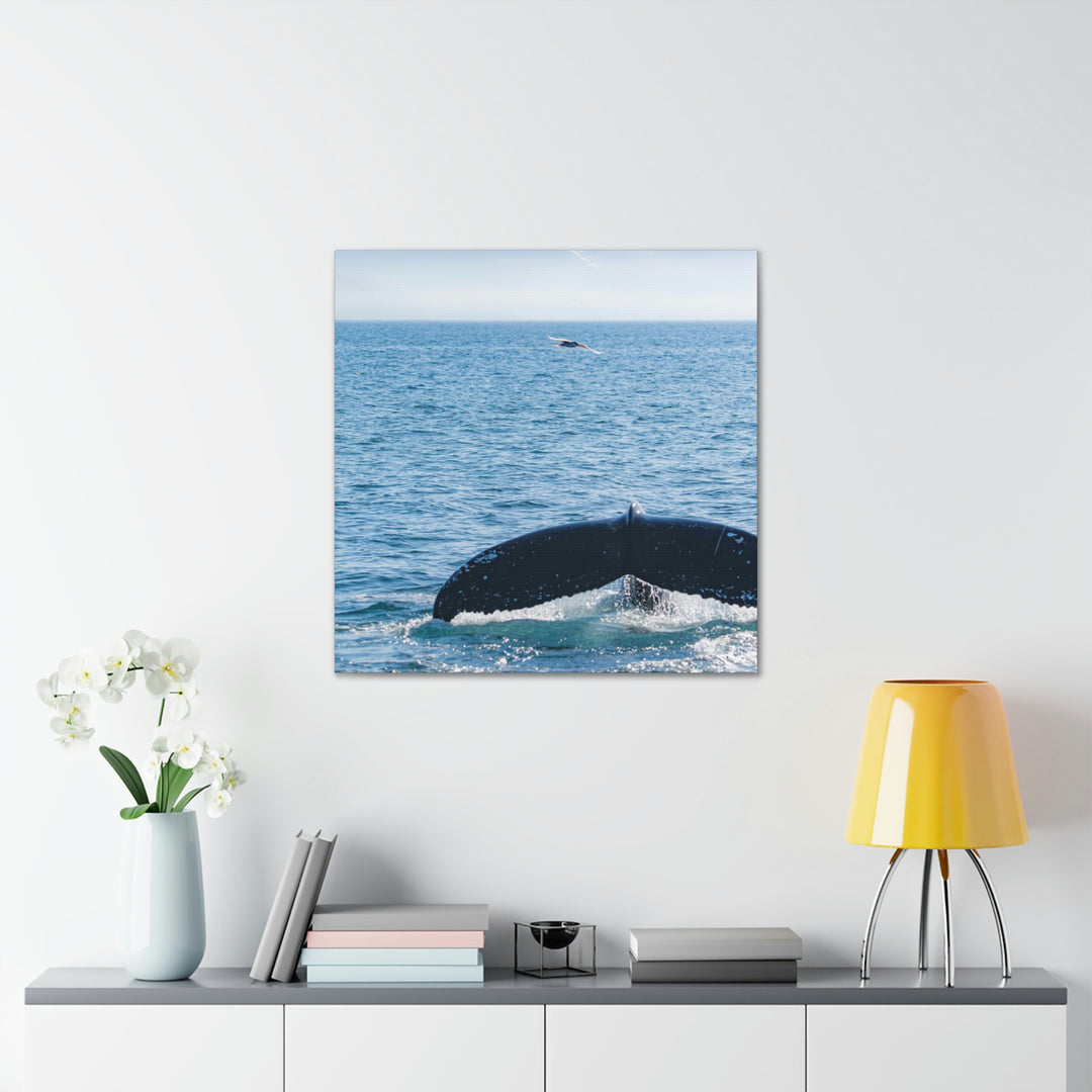 A Whale and A Mountain - Canvas