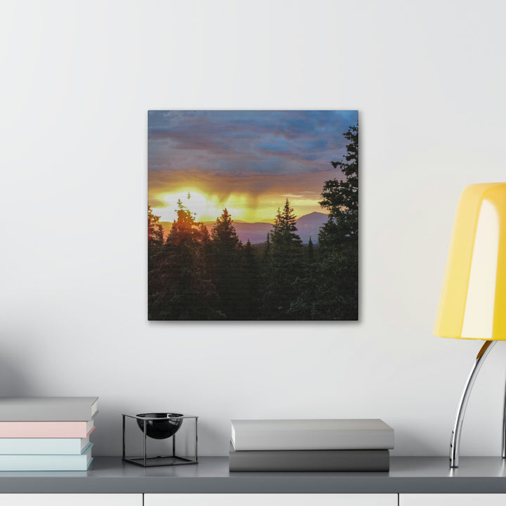 Rainy Sunset Through the Trees - Canvas