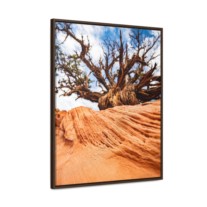 Desert Reach - Canvas with Frame