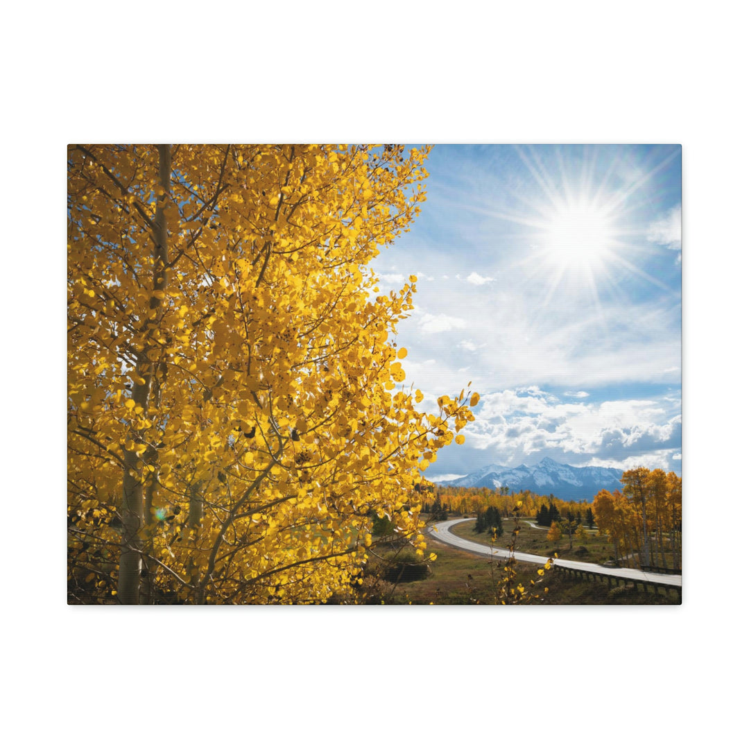 Golden Sunshine - Canvas