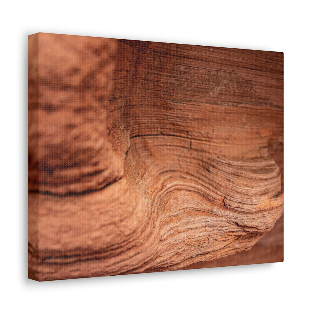 Sedimentary Rock Curves - Canvas