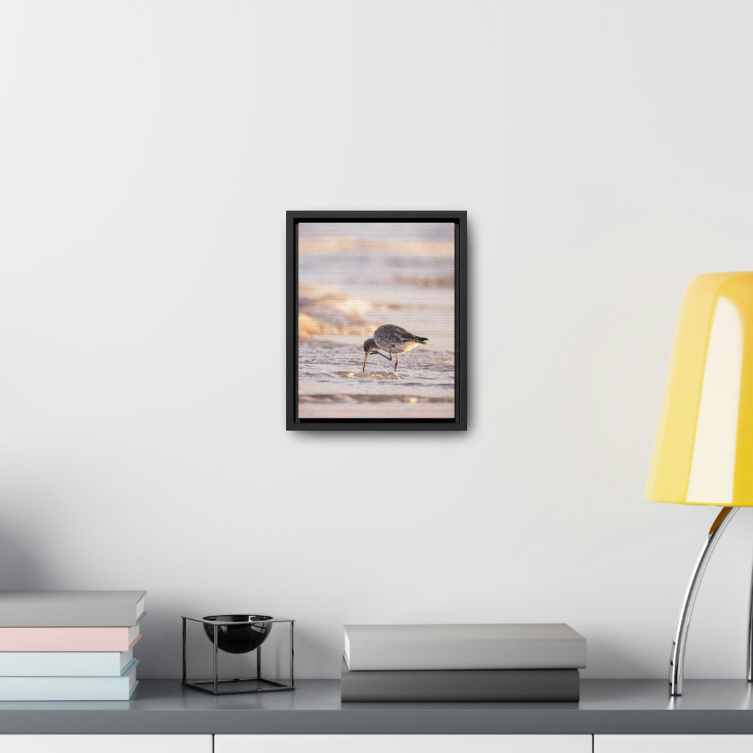 Willet Itch - Canvas with Frame