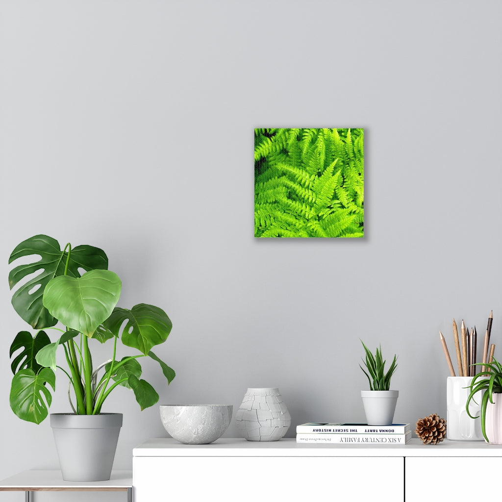 Ferns, Ferns, Ferns - Canvas