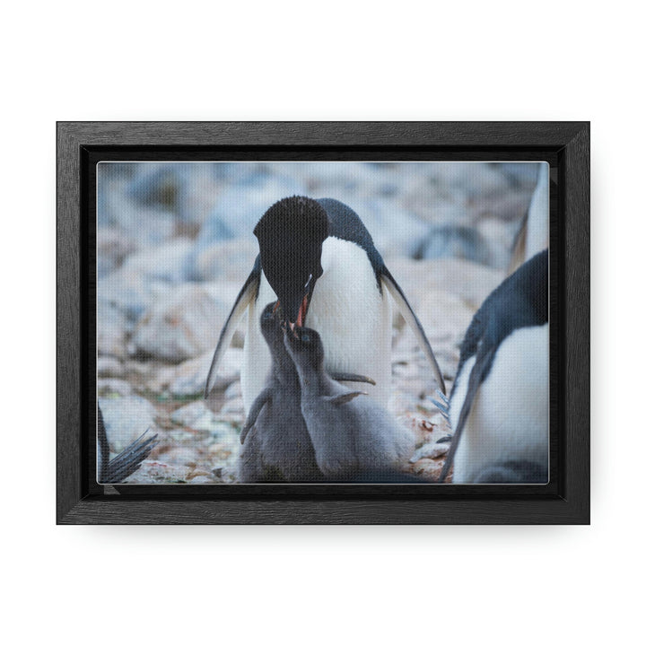 Feeding Time - Canvas with Frame