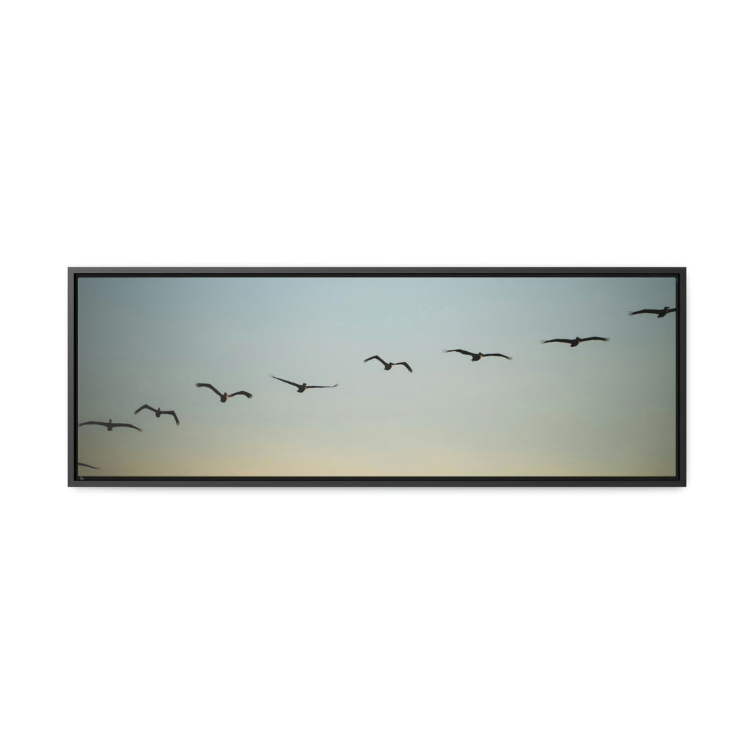 Brown Pelicans in Flight - Canvas with Frame