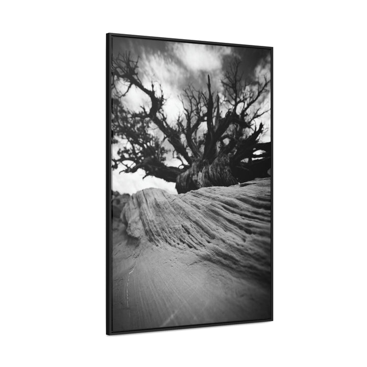 Desert Reach in Black and White - Canvas with Frame