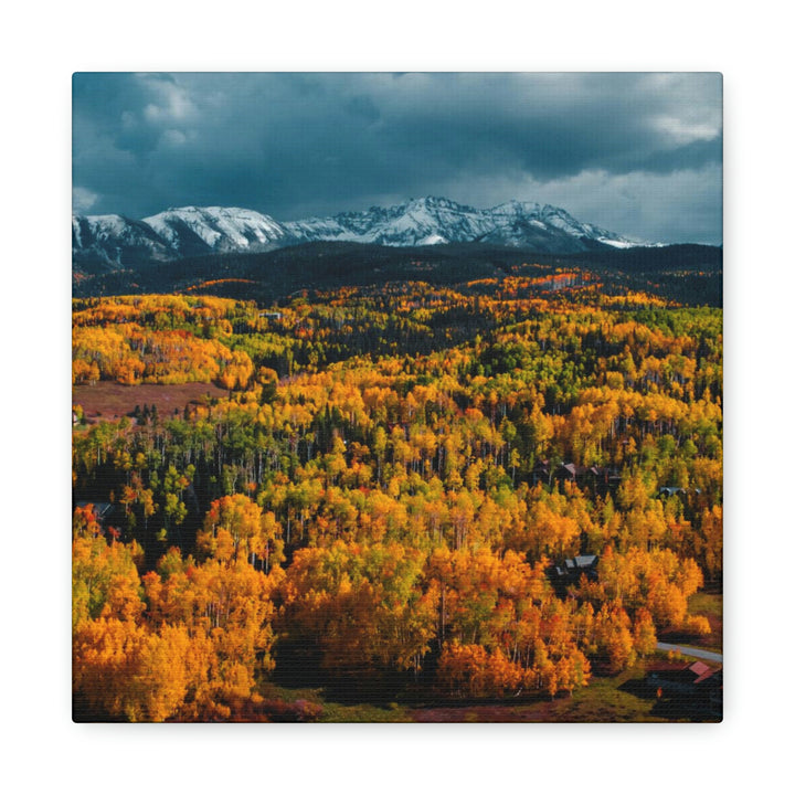 Golds of Autumn - Canvas