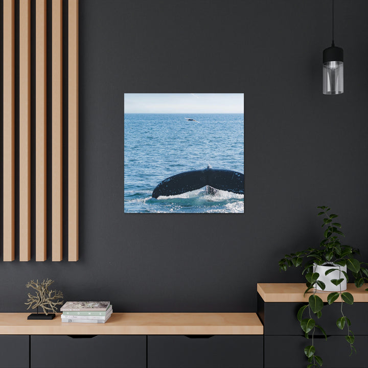 A Whale and A Mountain - Canvas