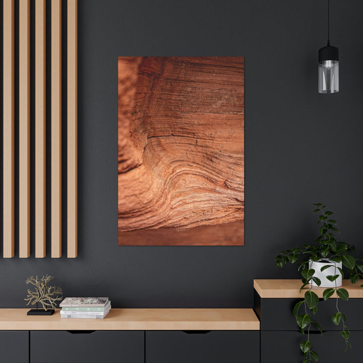 Sedimentary Rock Curves - Canvas