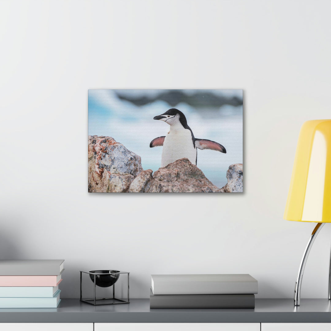 Stretched Penguin - Canvas