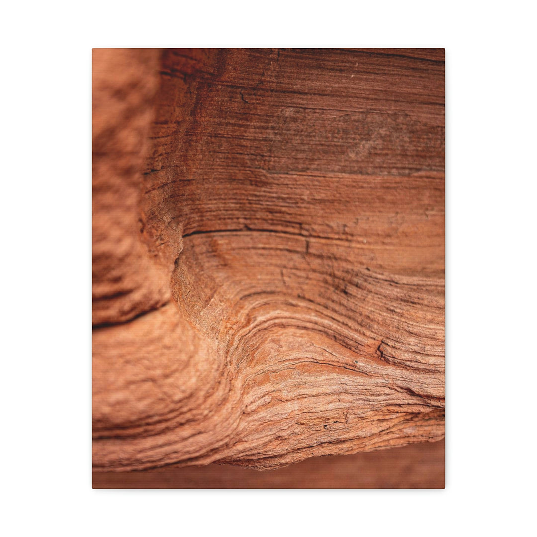 Sedimentary Rock Curves - Canvas