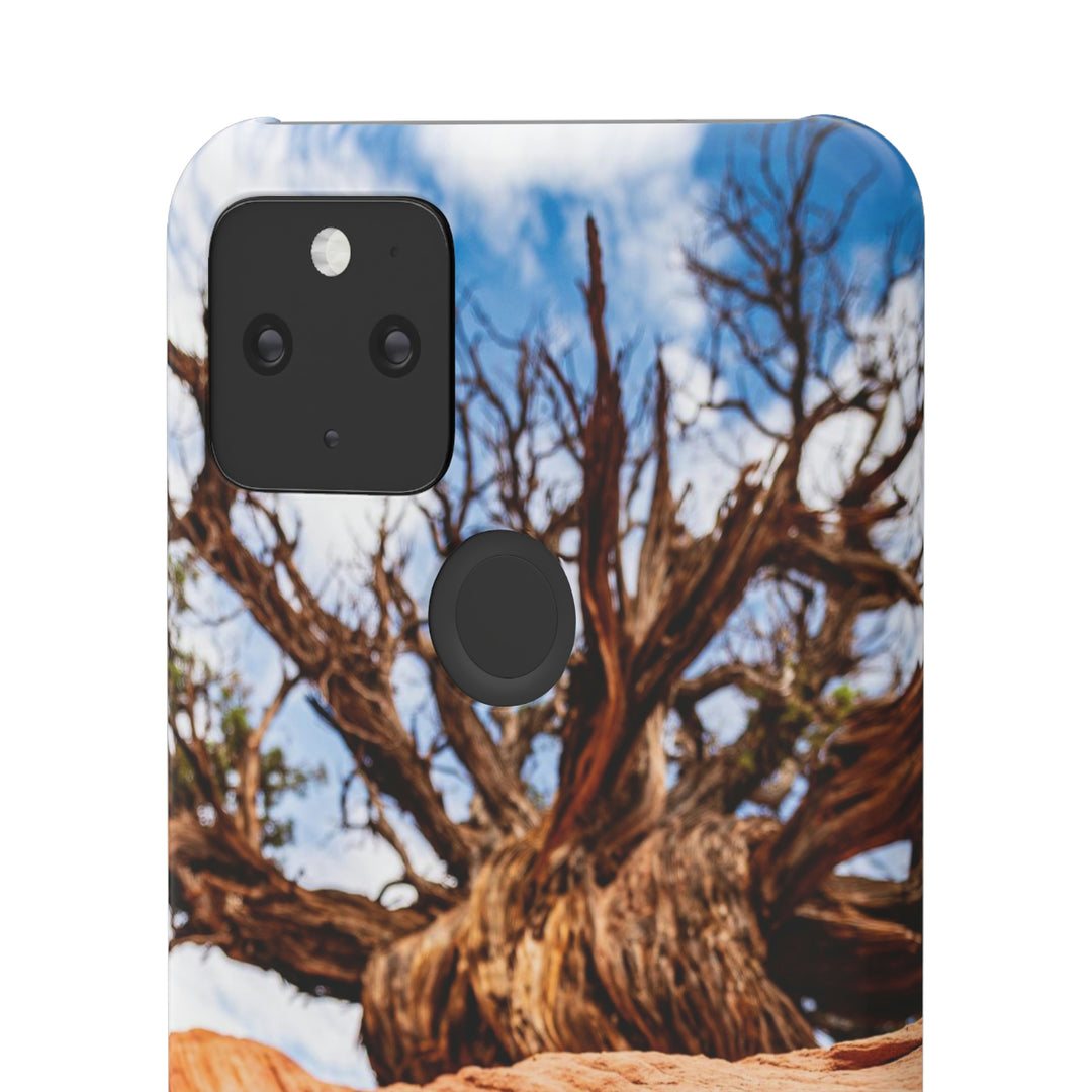 Desert Reach - Phone Case