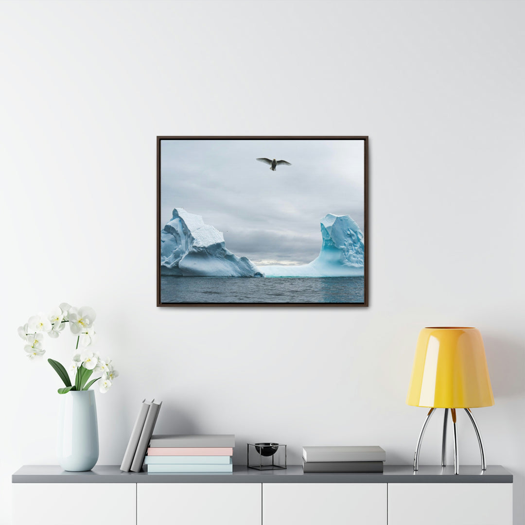 Antarctic Flight - Canvas with Frame