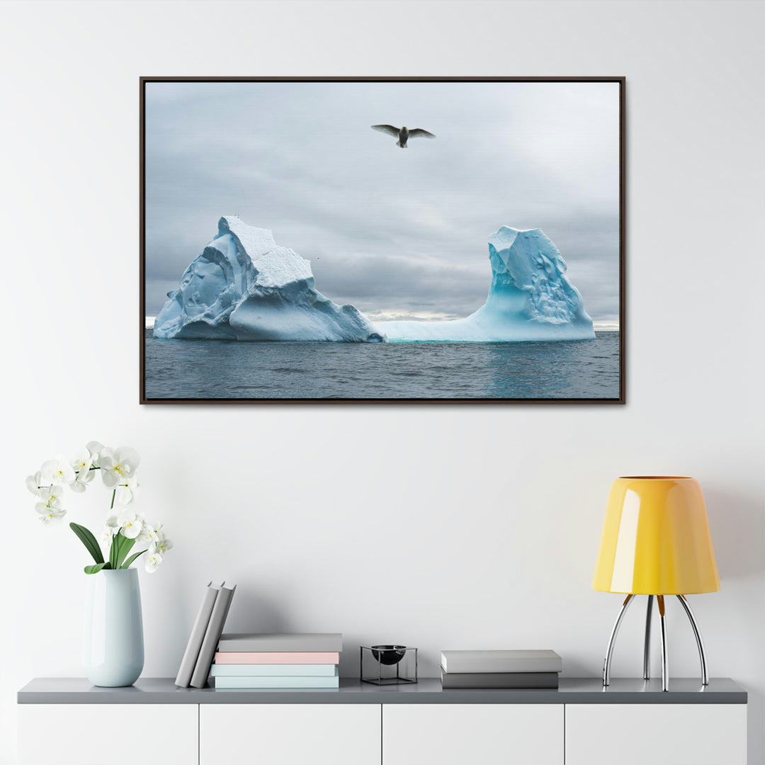 Antarctic Flight - Canvas with Frame