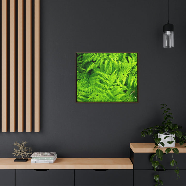 Ferns, Ferns, Ferns - Canvas with Frame