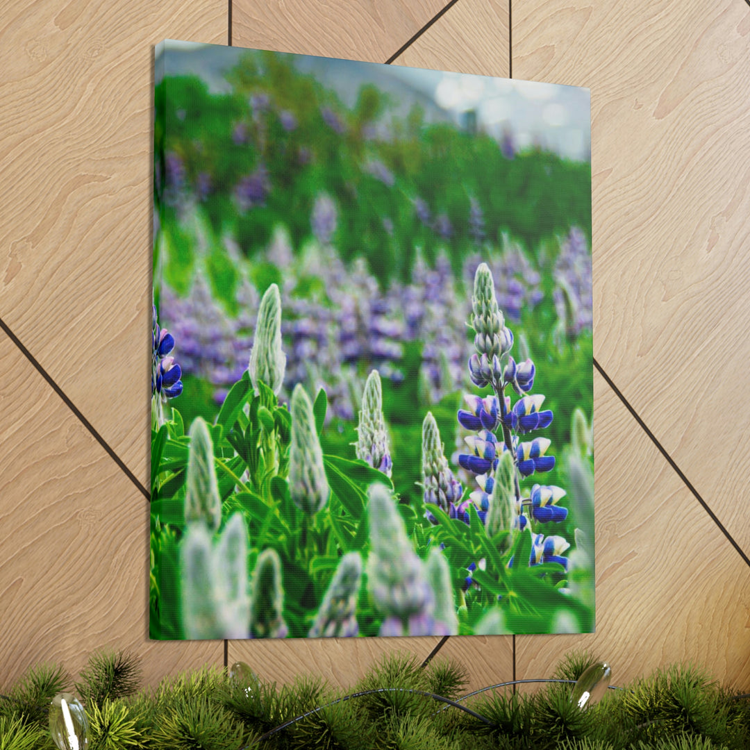 Glowing Lupin with Mountains - Canvas