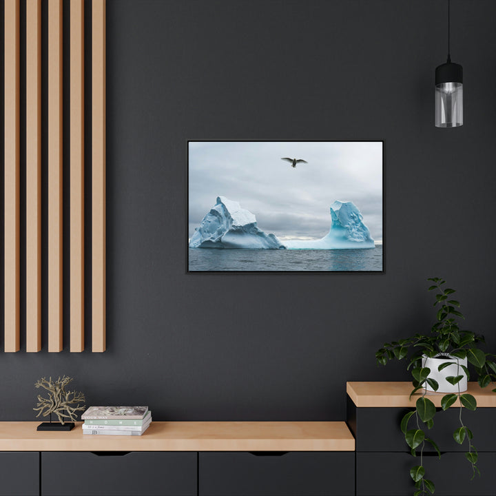 Antarctic Flight - Canvas with Frame