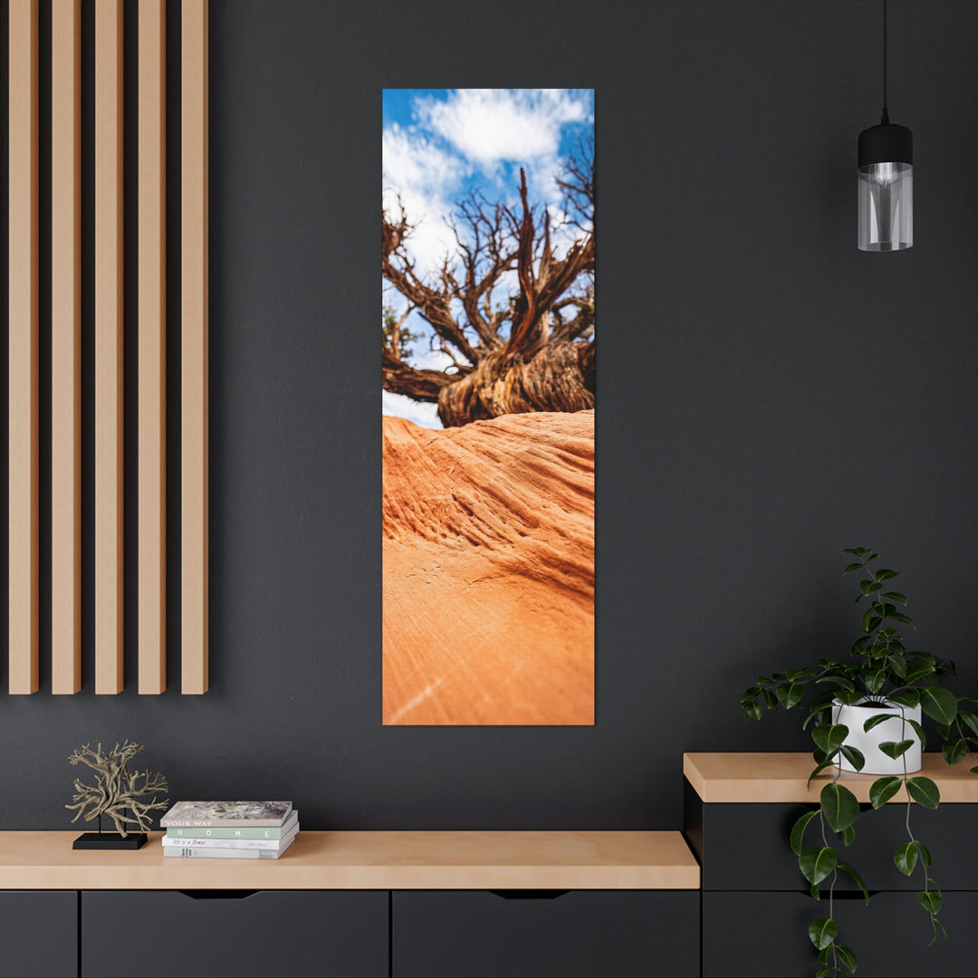 Desert Reach - Canvas