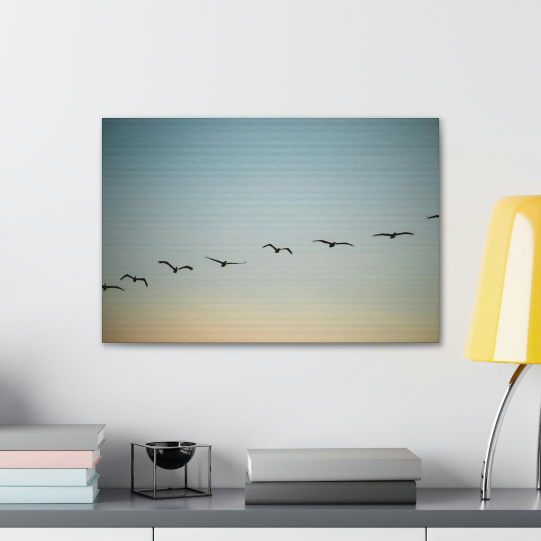 Brown Pelicans in Flight - Canvas