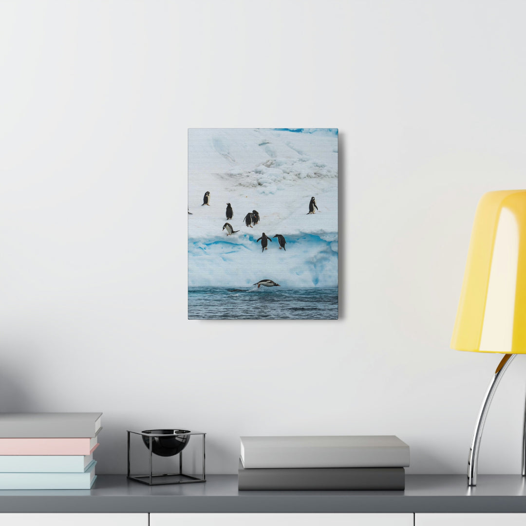 Porpoising Penguin - Canvas