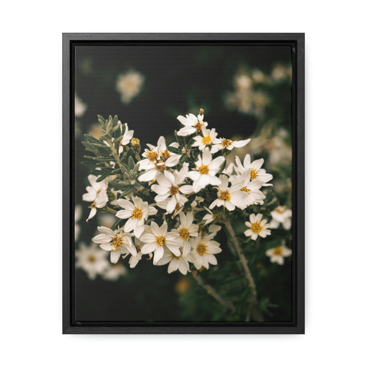 A Touch of White - Canvas with Frame