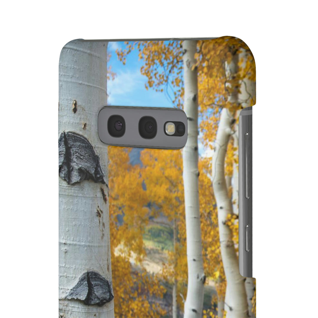 Aspens Changing - Phone Case