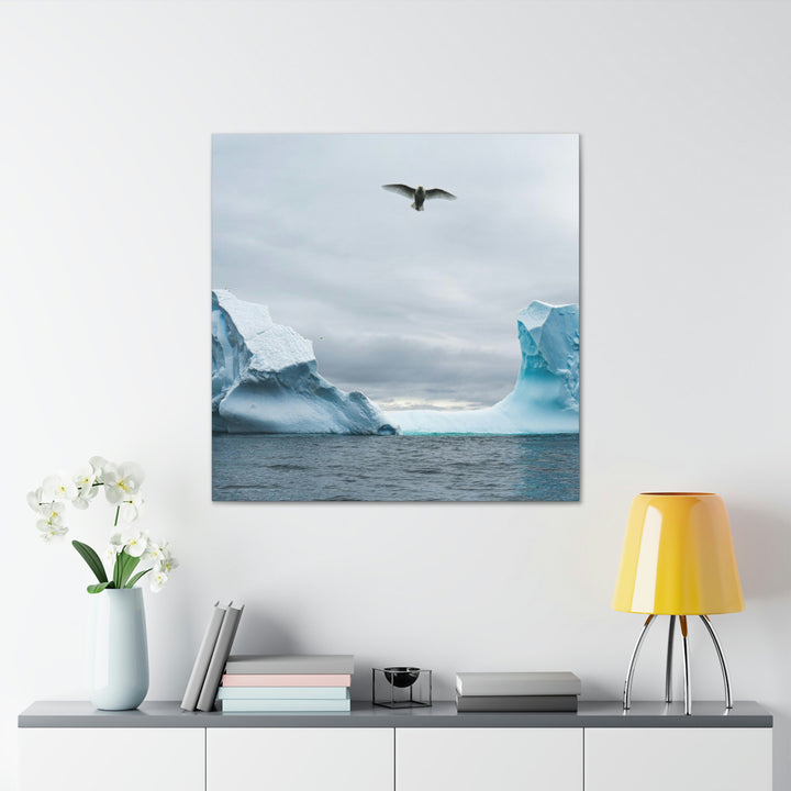 Antarctic Flight - Canvas