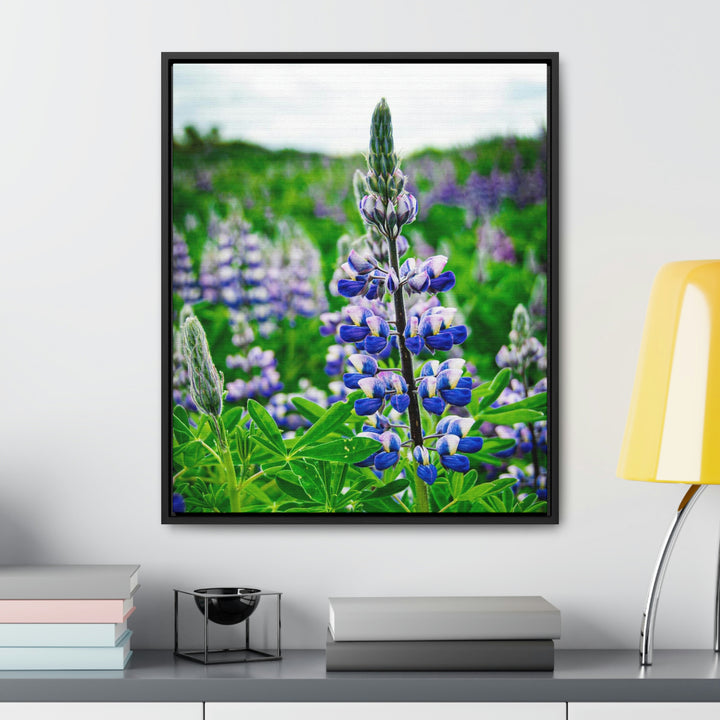 Glowing Lupin - Canvas with Frame