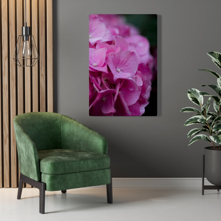 Pink Hydrangea Detail - Canvas