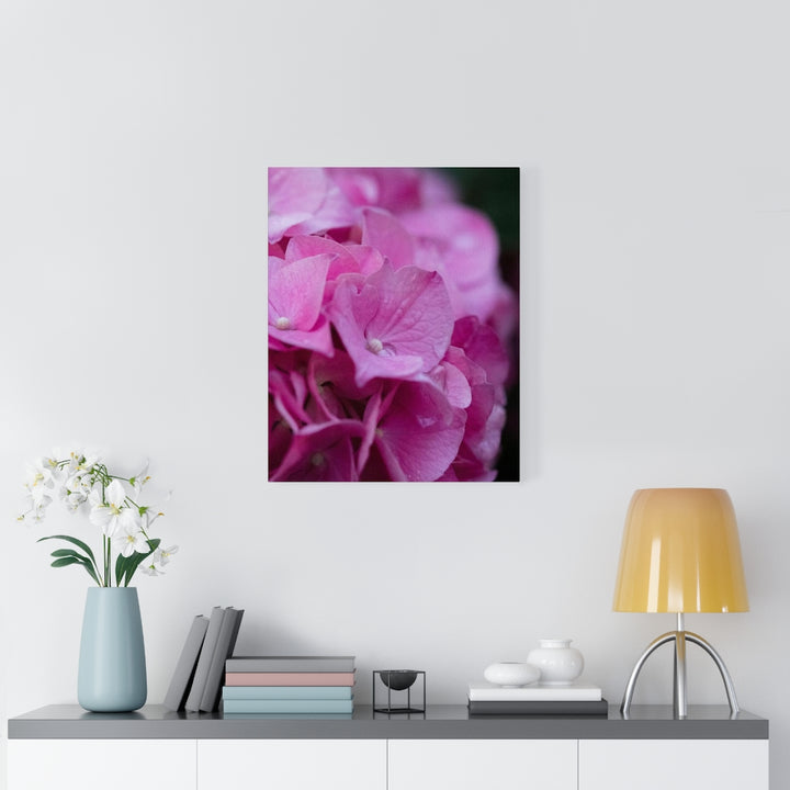 Pink Hydrangea Detail - Canvas