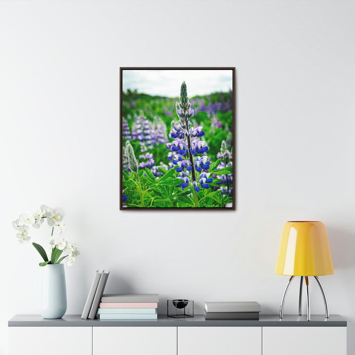 Glowing Lupin - Canvas with Frame