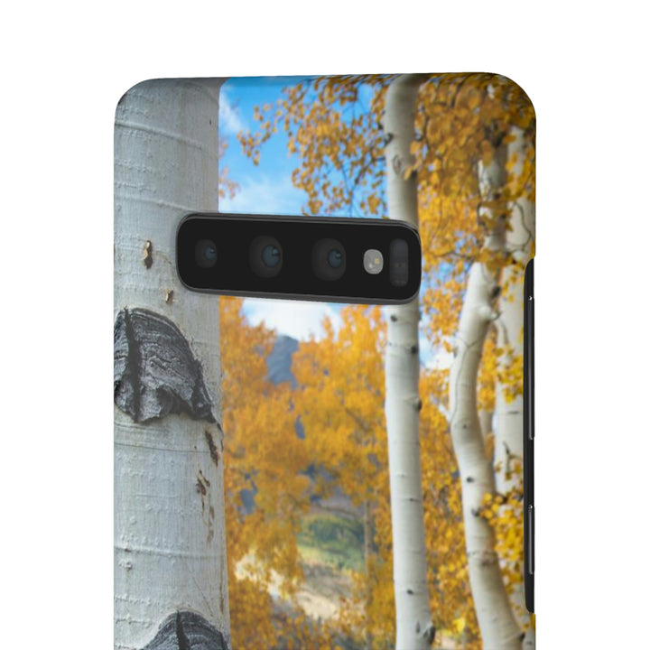 Aspens Changing - Phone Case