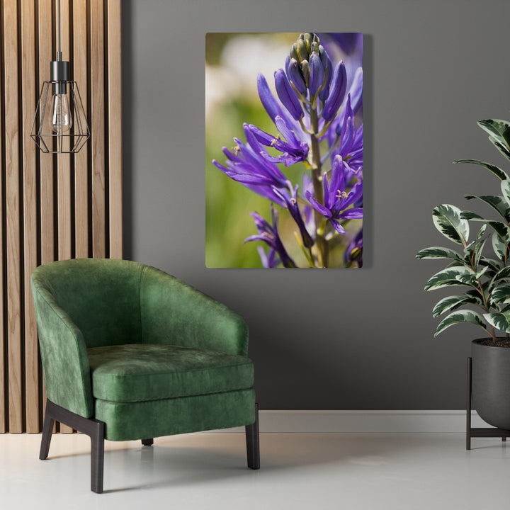 Camas in Bloom - Canvas