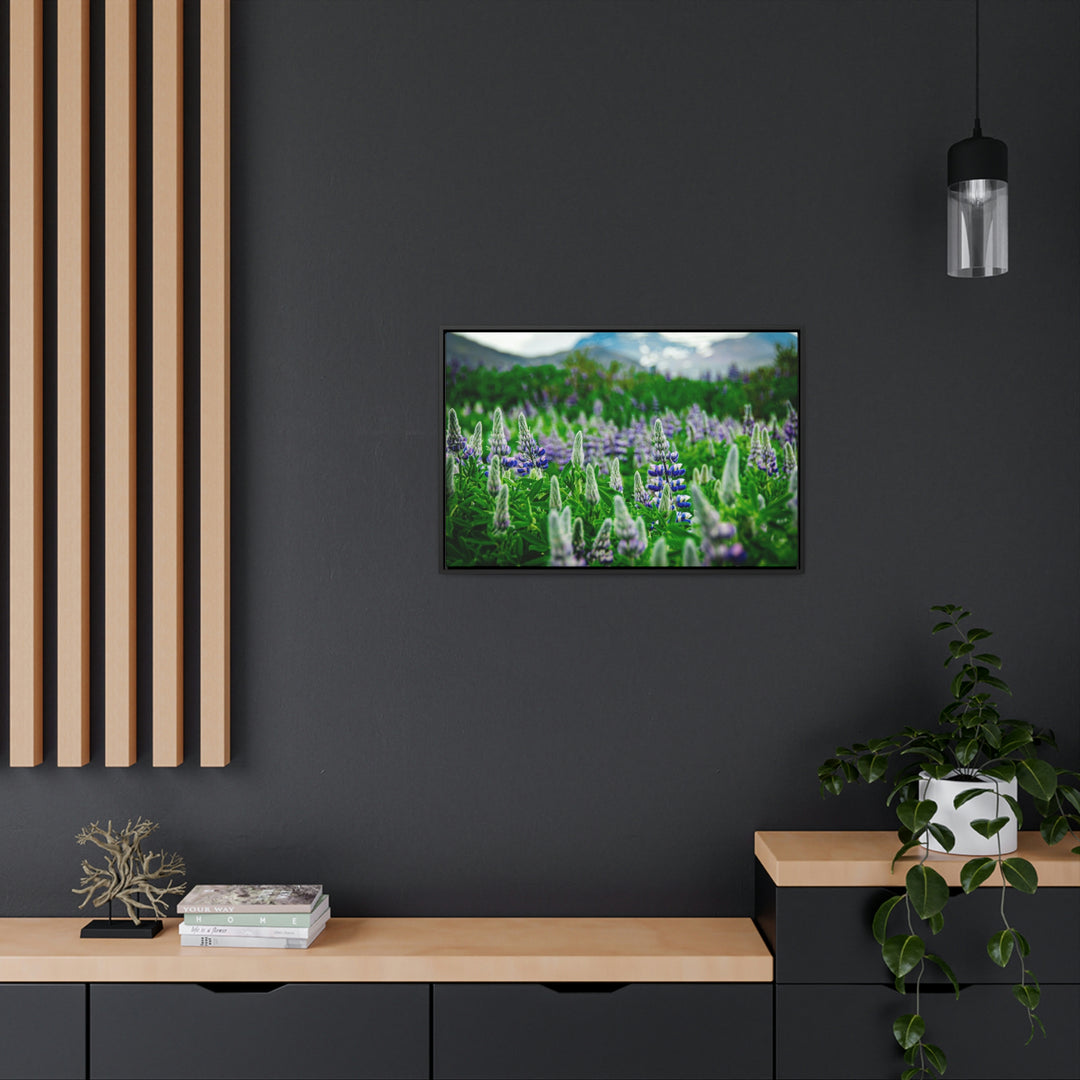 Glowing Lupin with Mountains - Canvas with Frame