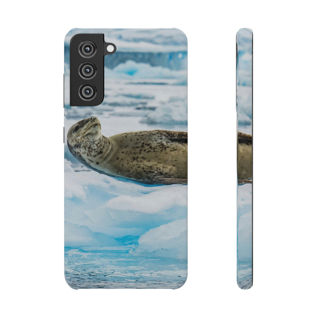 Leopard Seal Relaxing - Phone Case