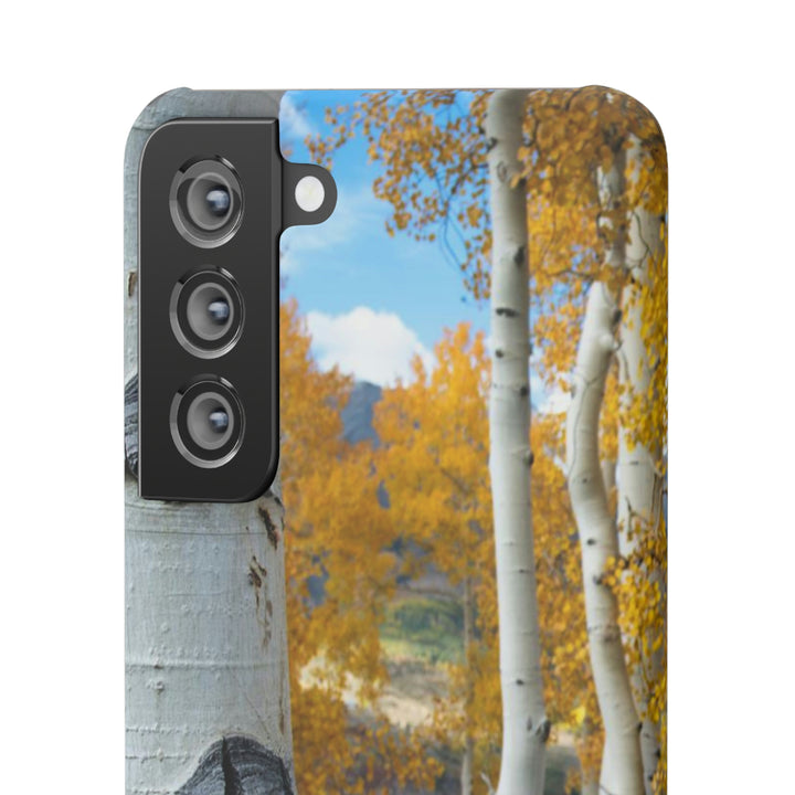 Aspens Changing - Phone Case