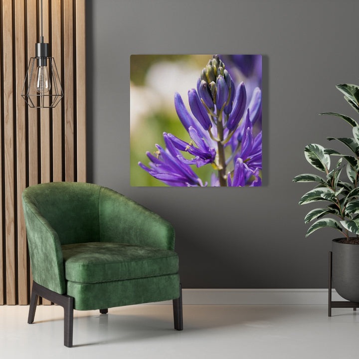 Camas in Bloom - Canvas