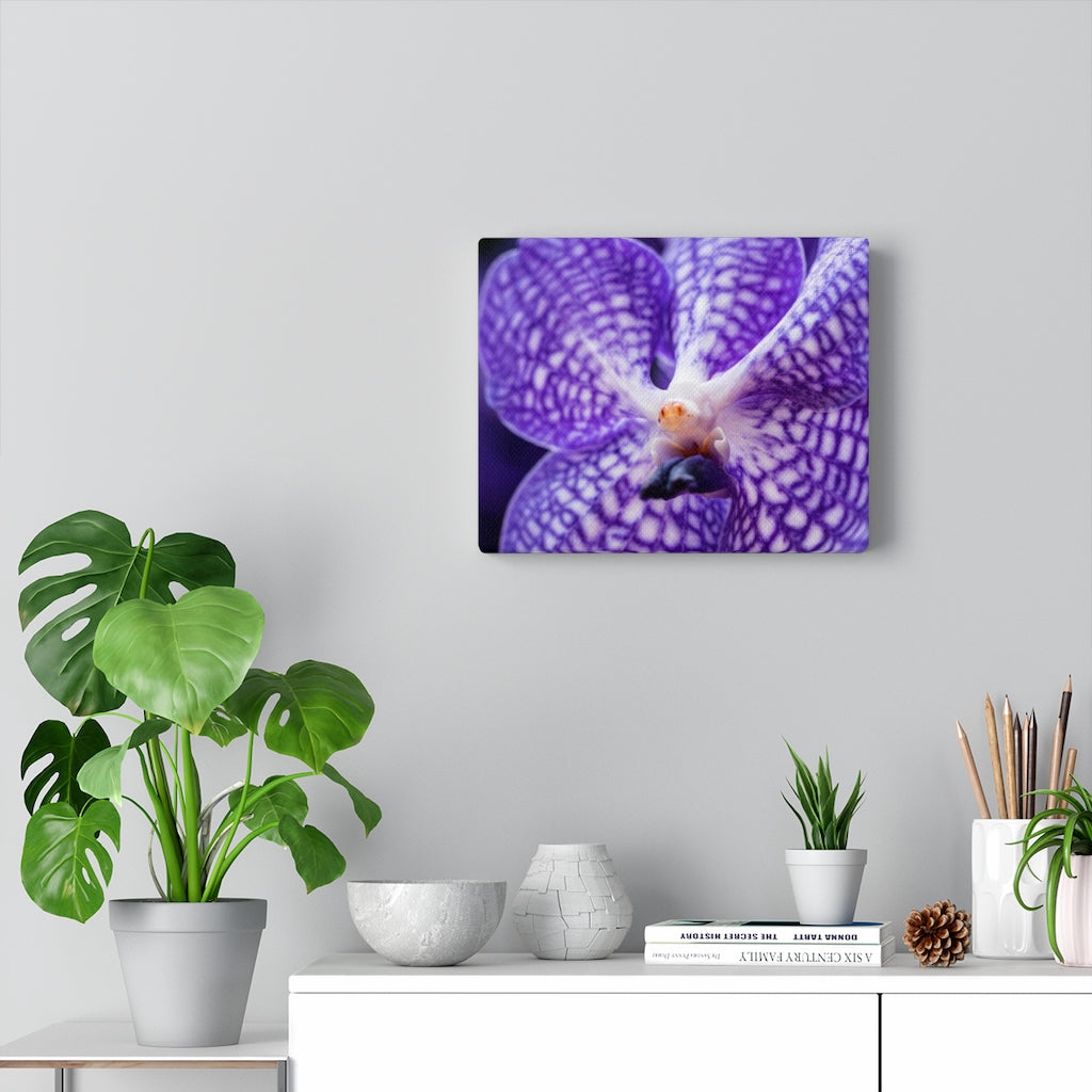 Orchid Detail - Canvas