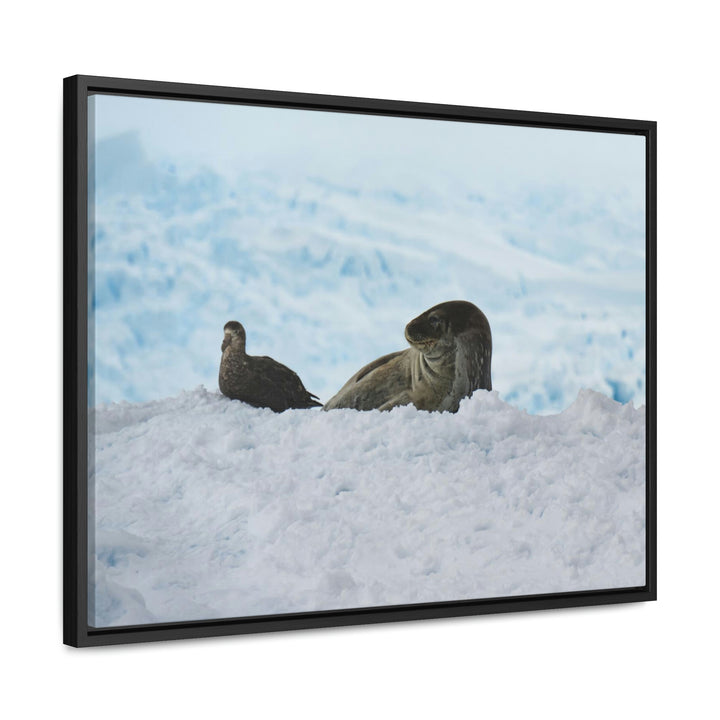 A Resting Pair - Canvas with Frame