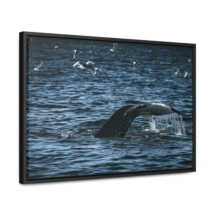 Feeding Tail - Canvas with Frame