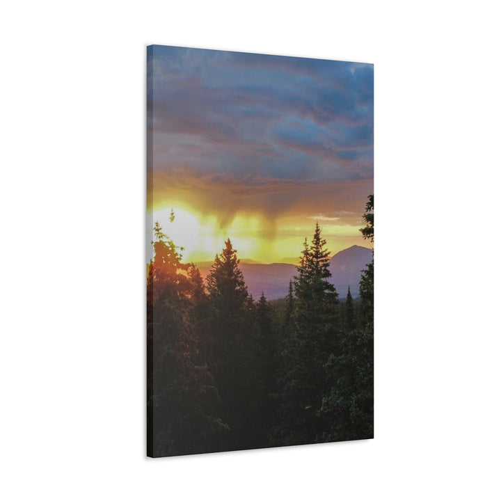 Rainy Sunset Through the Trees - Canvas