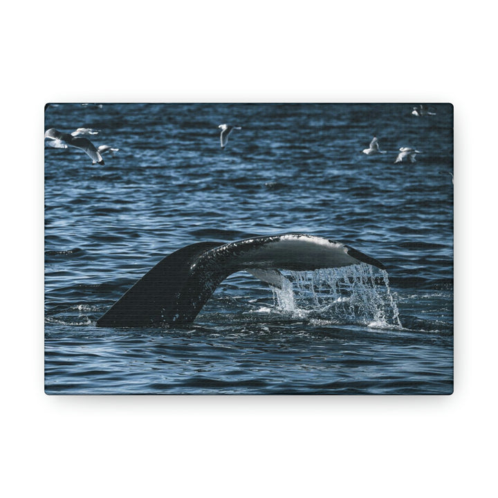 Feeding Tail - Canvas