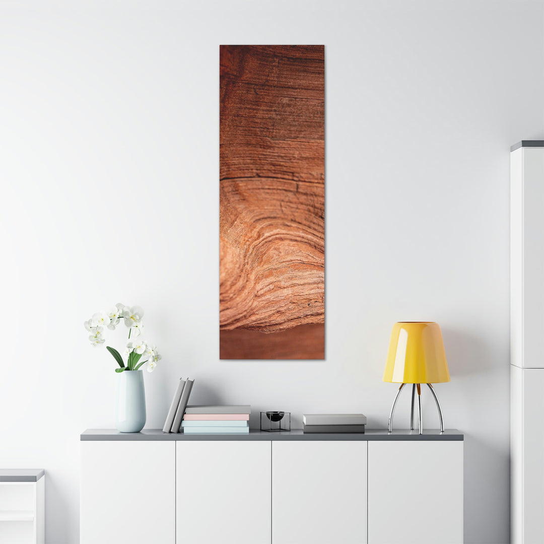 Sedimentary Rock Curves - Canvas