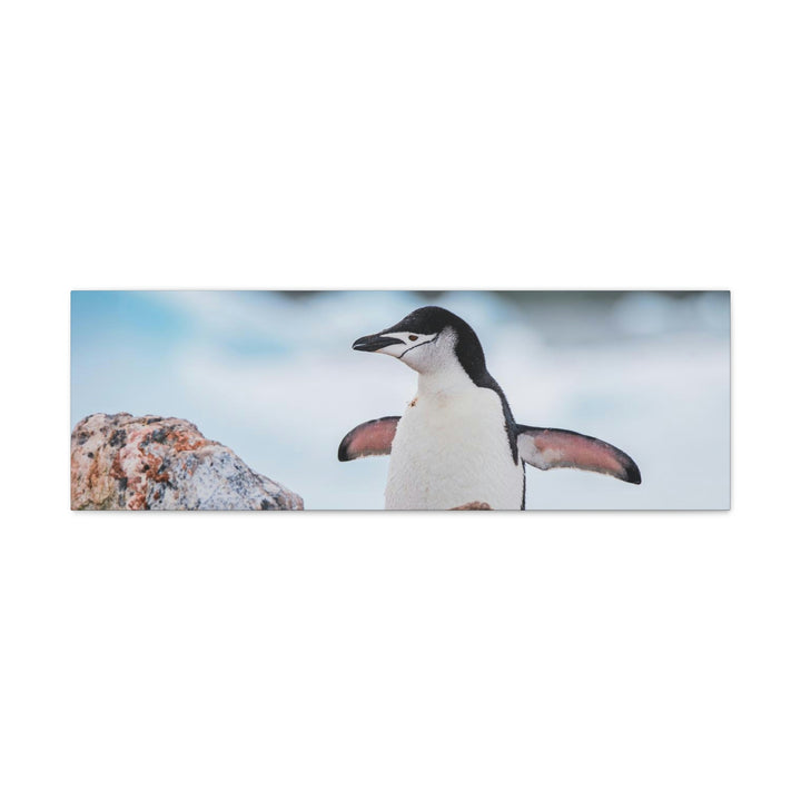 Stretched Penguin - Canvas