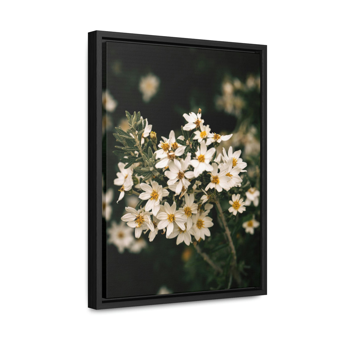 A Touch of White - Canvas with Frame