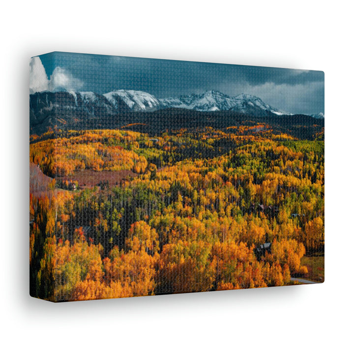 Golds of Autumn - Canvas