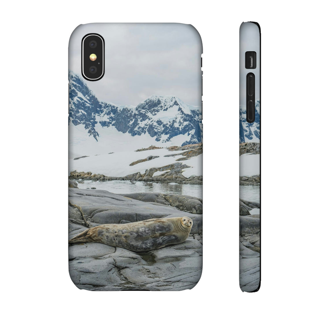 Weddell Relaxing - Phone Case